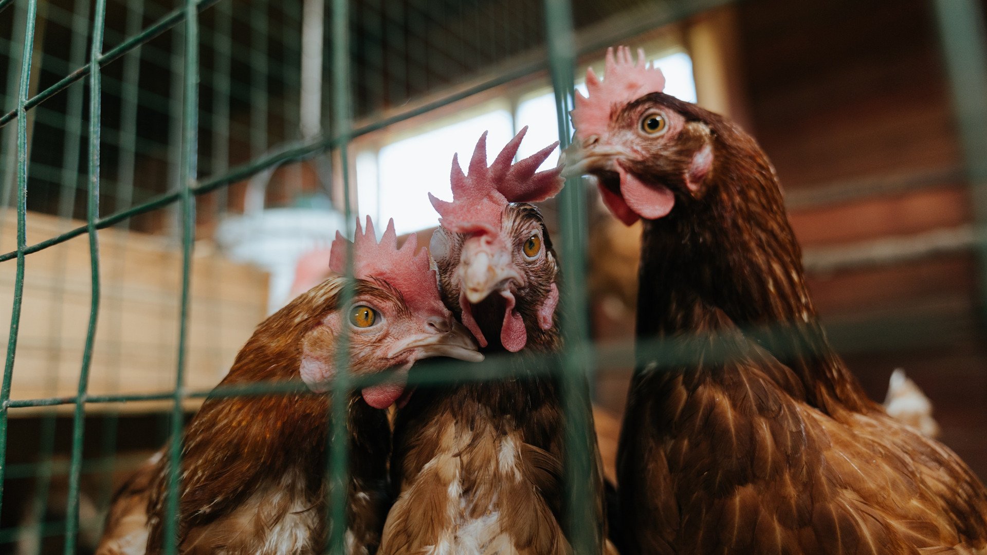 pg电子娱乐-绿茵街道赛，维尼尔修斯的数据爆炸之夜