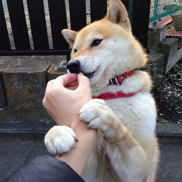 pg电子下载-楚阿梅尼点燃赛场，罗马对阵波兰友谊赛激情回顾