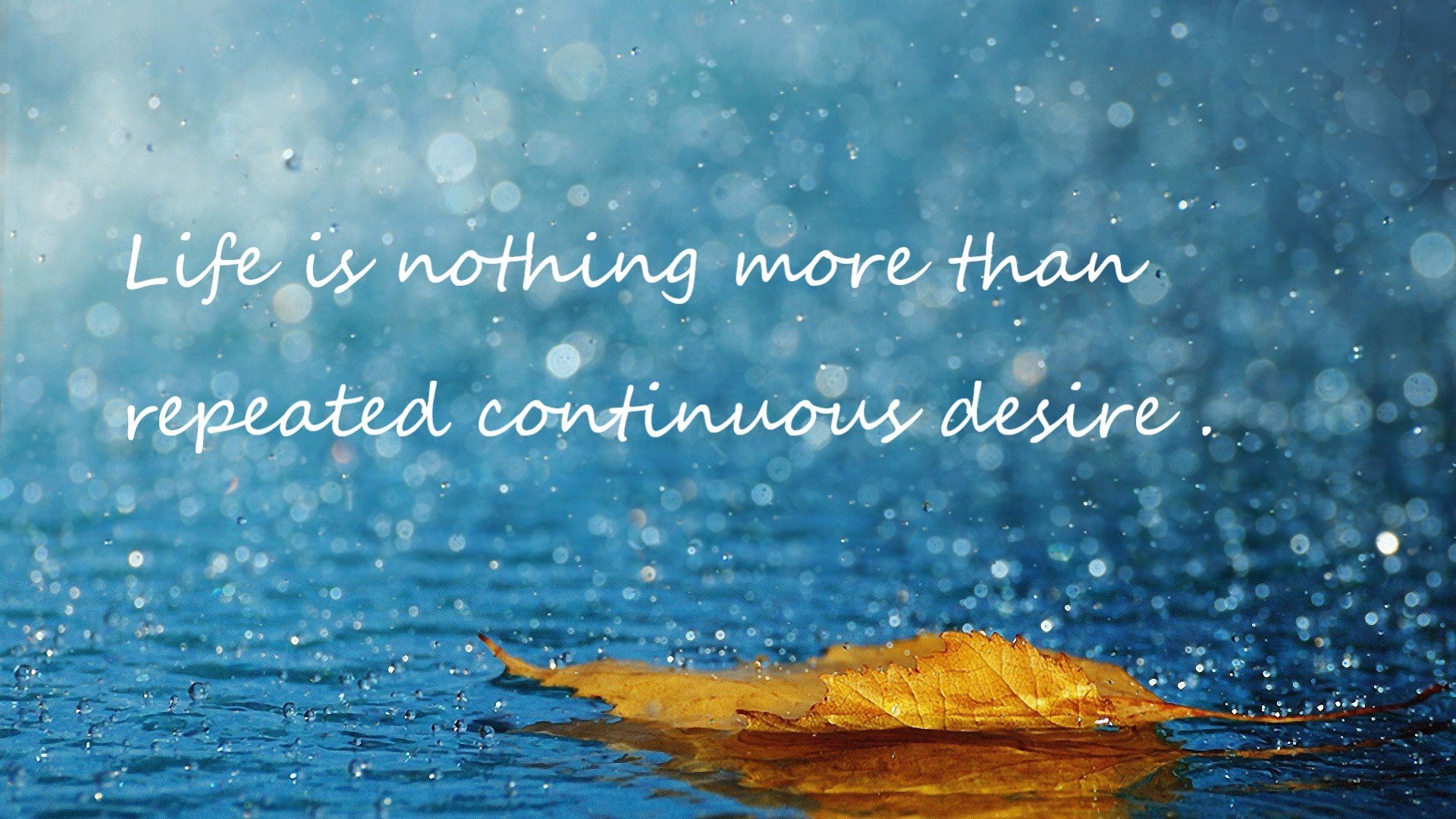 灵蛇出洞,卡马文加以一敌众,撕碎爱尔兰钢铁防线