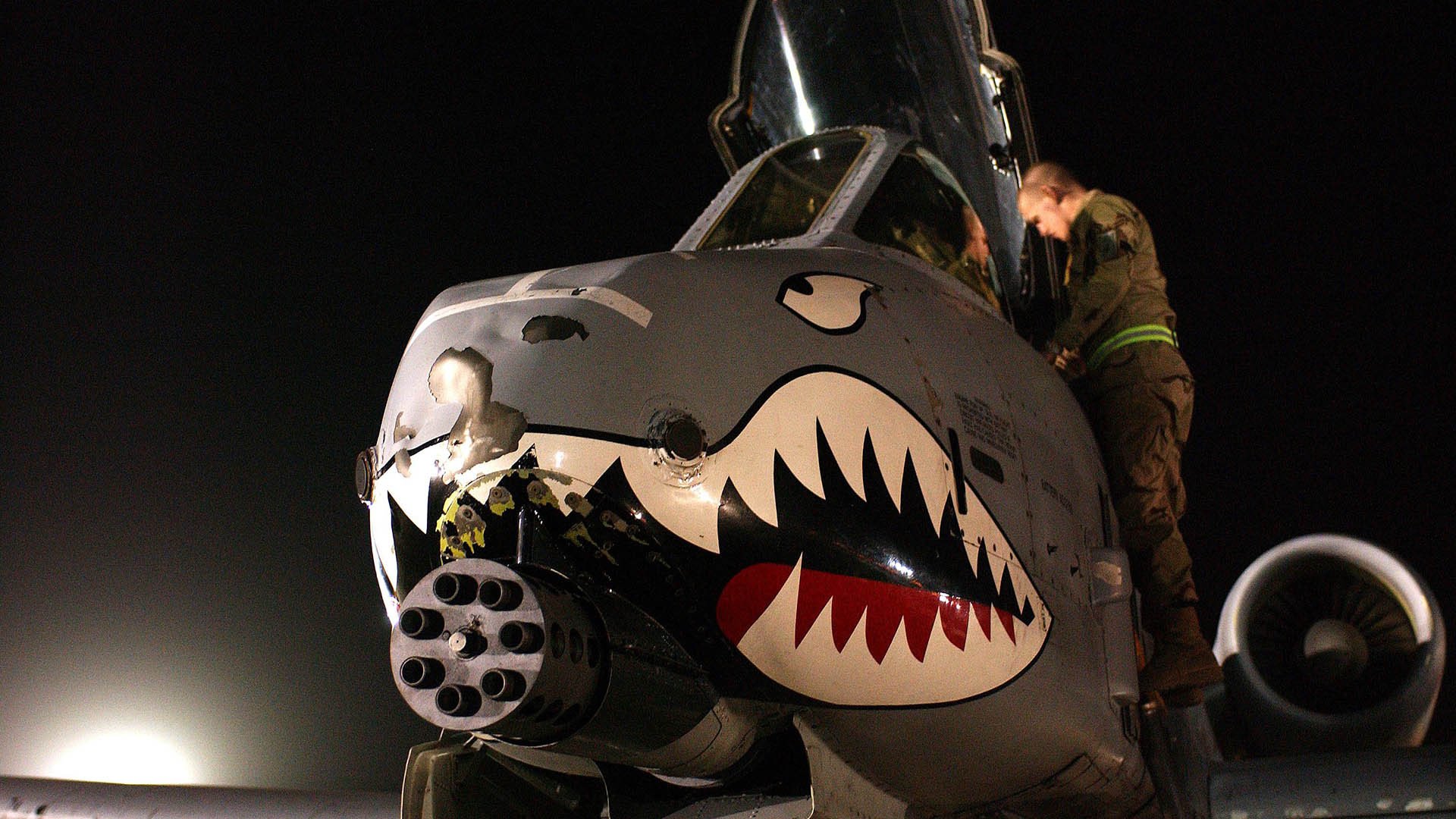 风卷残云,黄蜂掀翻掘金,布克在世界排名战中擎起王朝之柱