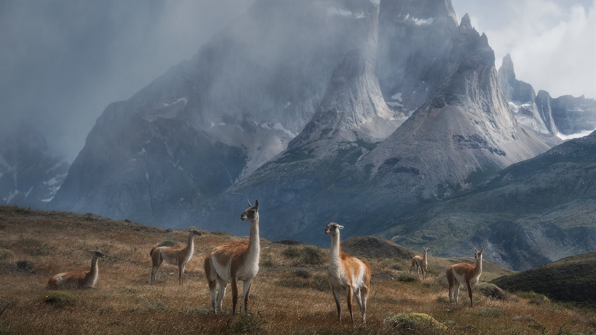 pg电子下载-奥运周期前哨战，骑士队战术纪律奏效力克新疆，关键战揭示争冠风向