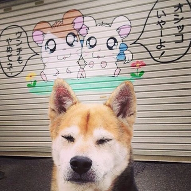 无声刺客,哈利伯顿的致命一击与团队艺术的胜利