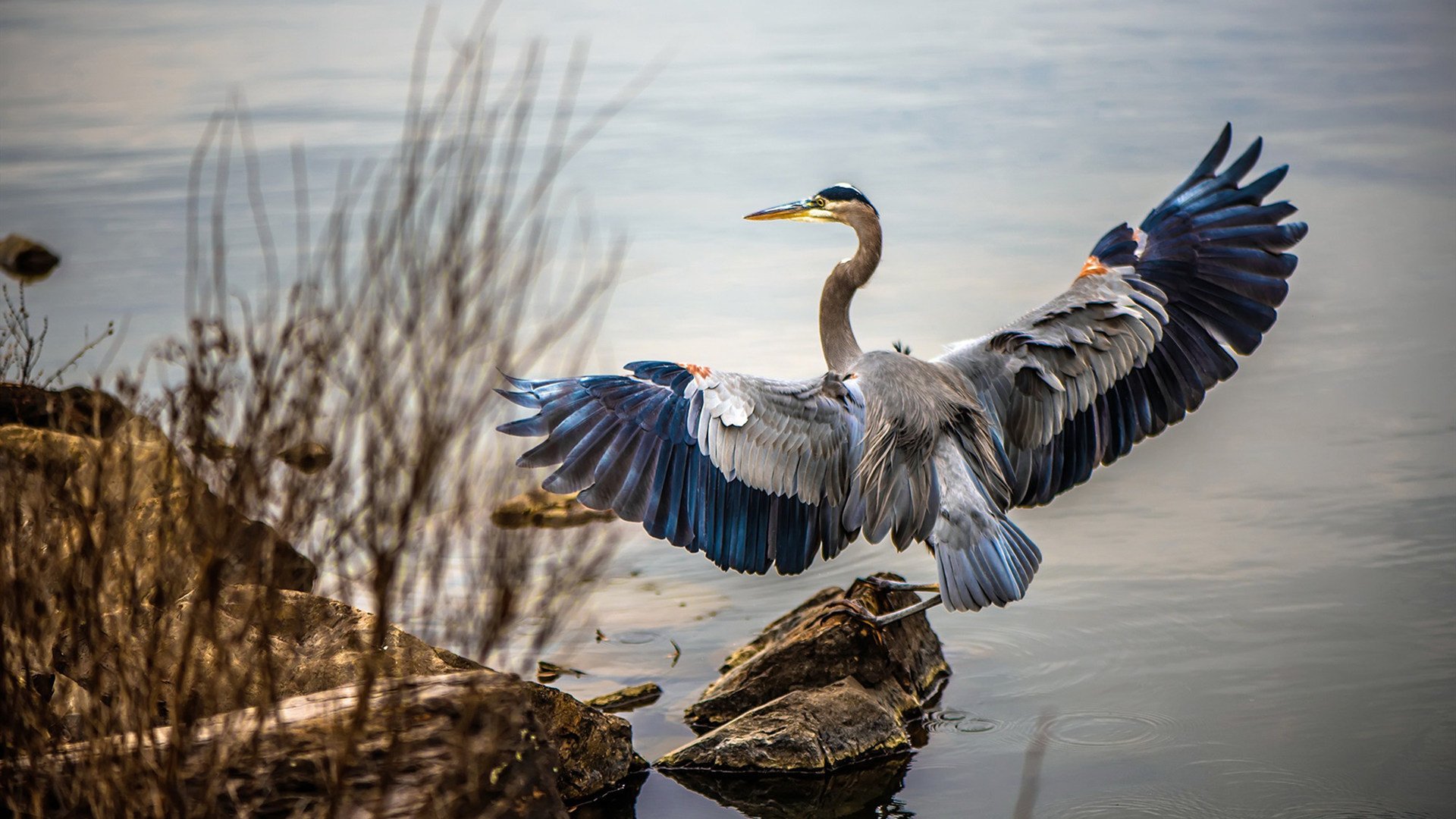 pg电子-哈登，一人改写剧本，步行者铁血攻克克城