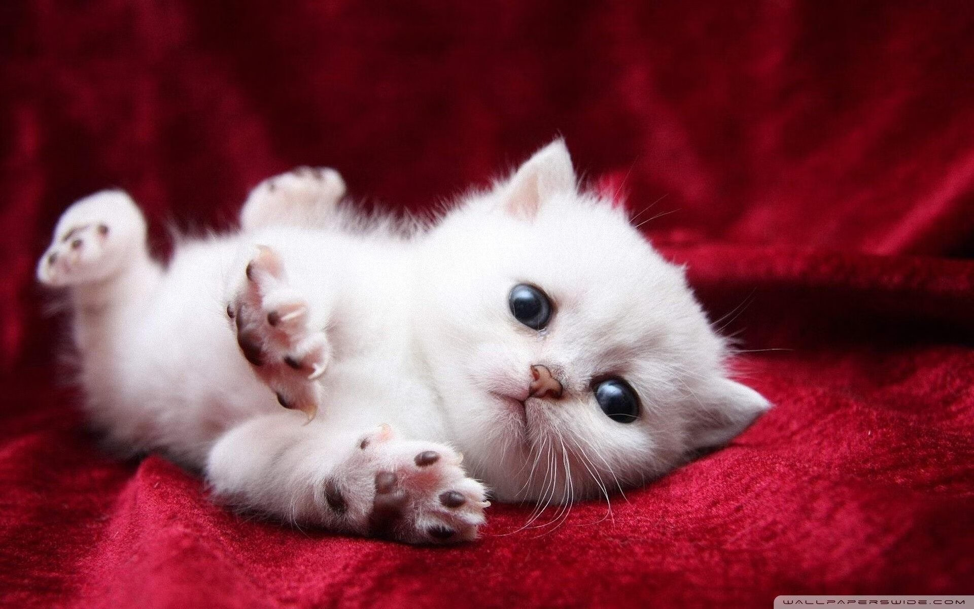 神魔时刻!英格拉姆连砍15分拉开差距,广厦主场逆转掀翻北京