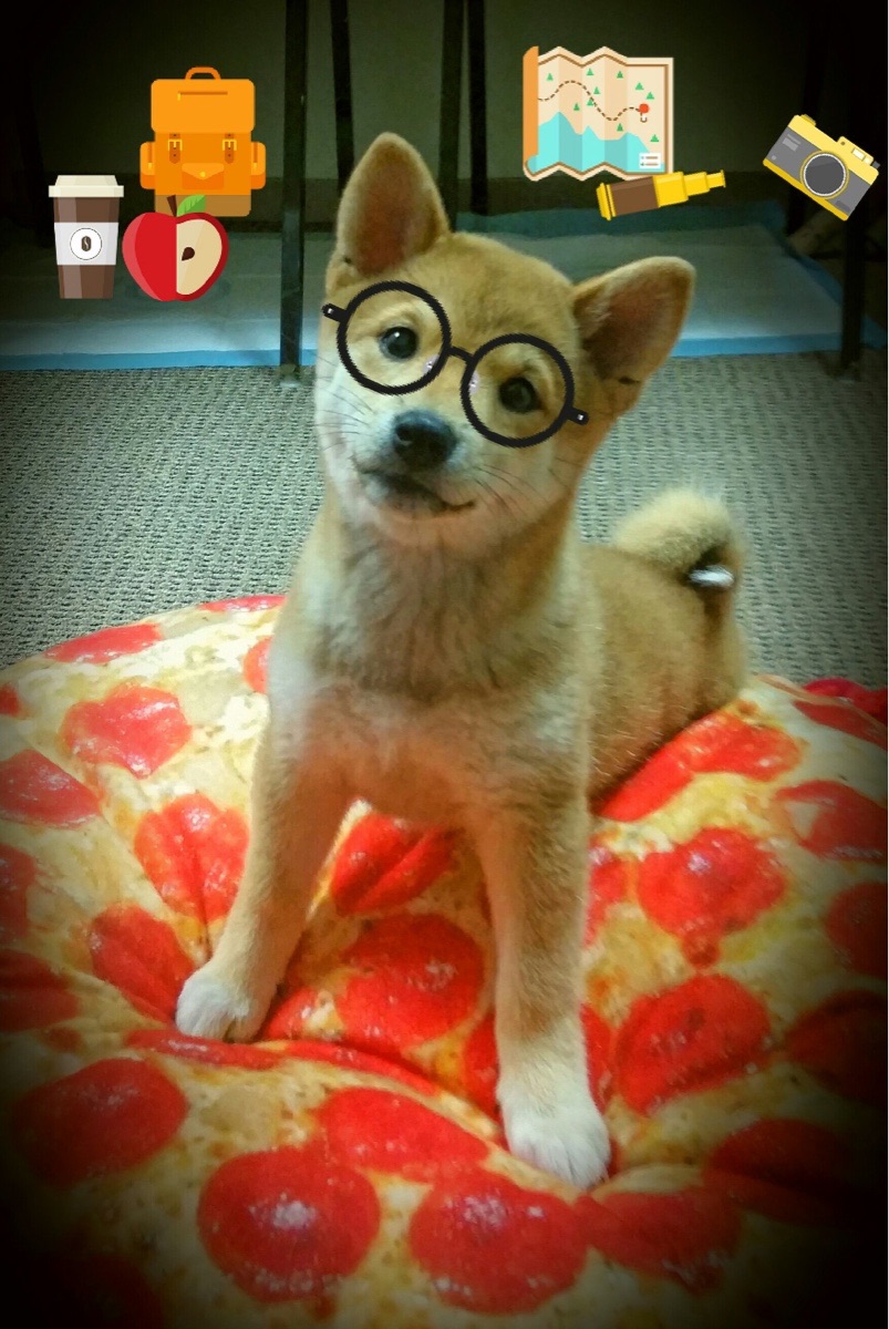 pg电子下载-王者之证，上海滩新王加冕之夜，切特一柱擎天主宰辽篮命运