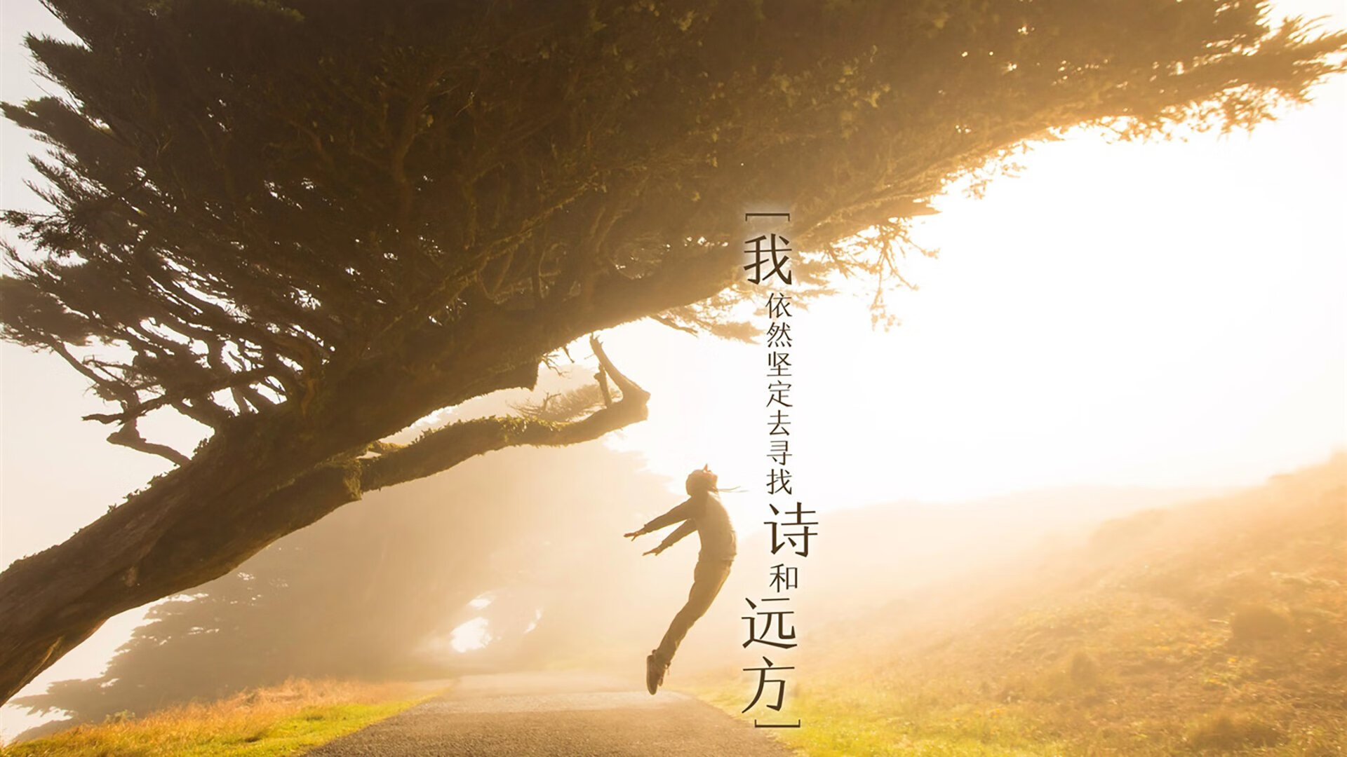 东方武士的奇迹，塔雷米导演经典，日本战术完胜英格兰挺进世界杯决赛