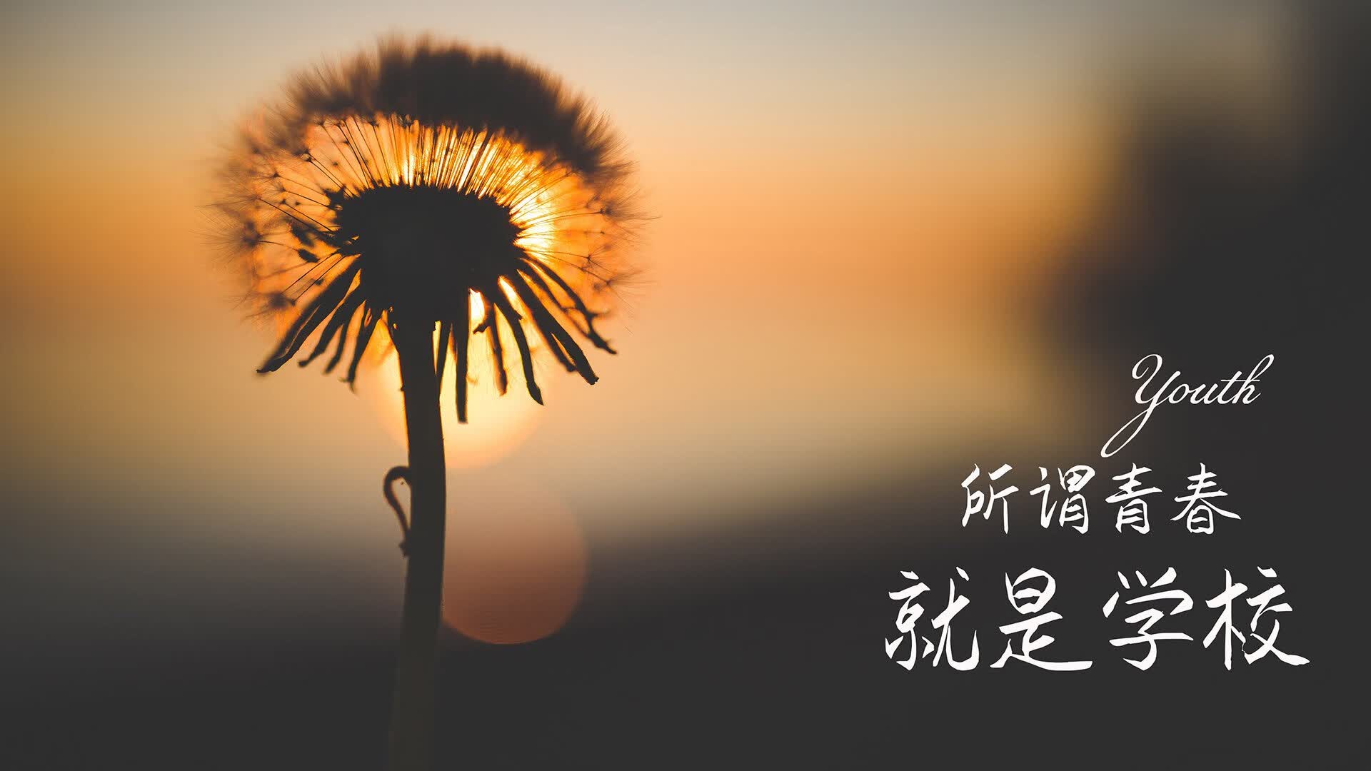 红魔觉醒，比利时逆转澳大利亚，吉鲁闪耀演绎经典强强对话